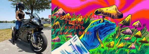Альфа ПВП Абдулино
