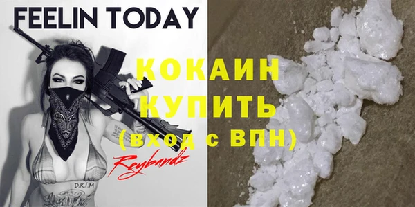 крисы Алексин