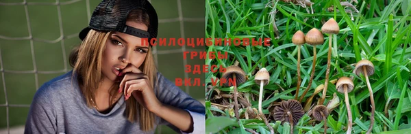 скорость Абинск