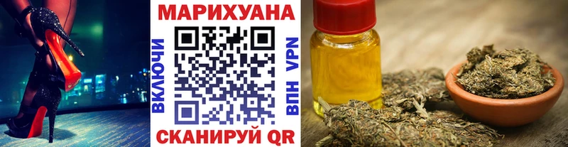 Конопля сатива  Шарья 